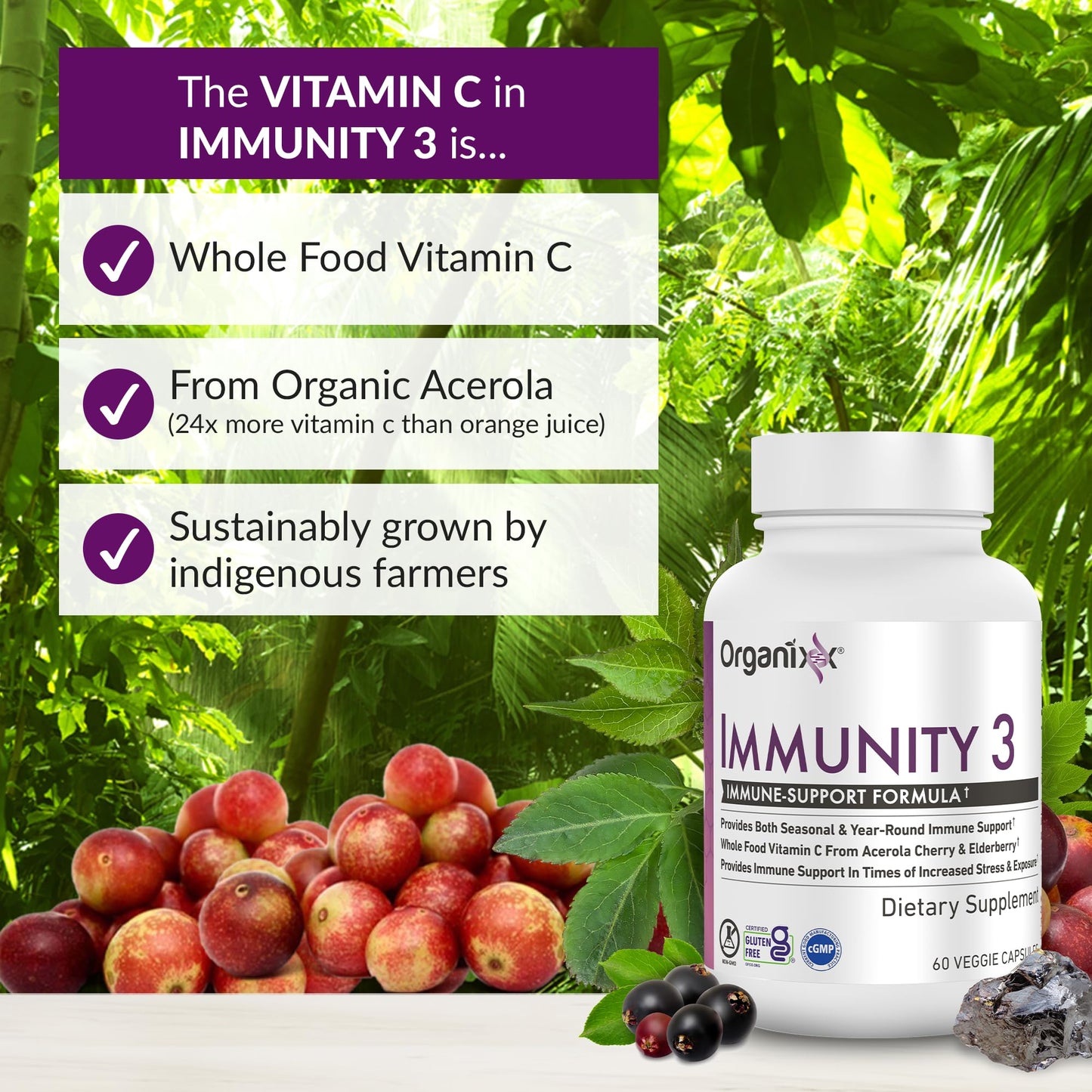Organixx Immunity 3 Immune Support Supplement – Vitamin C, Zinc, Elderberry – Whole Food Immune Defense for Adults & Kids, Greater Absorption, Non GMO, 60 Capsules