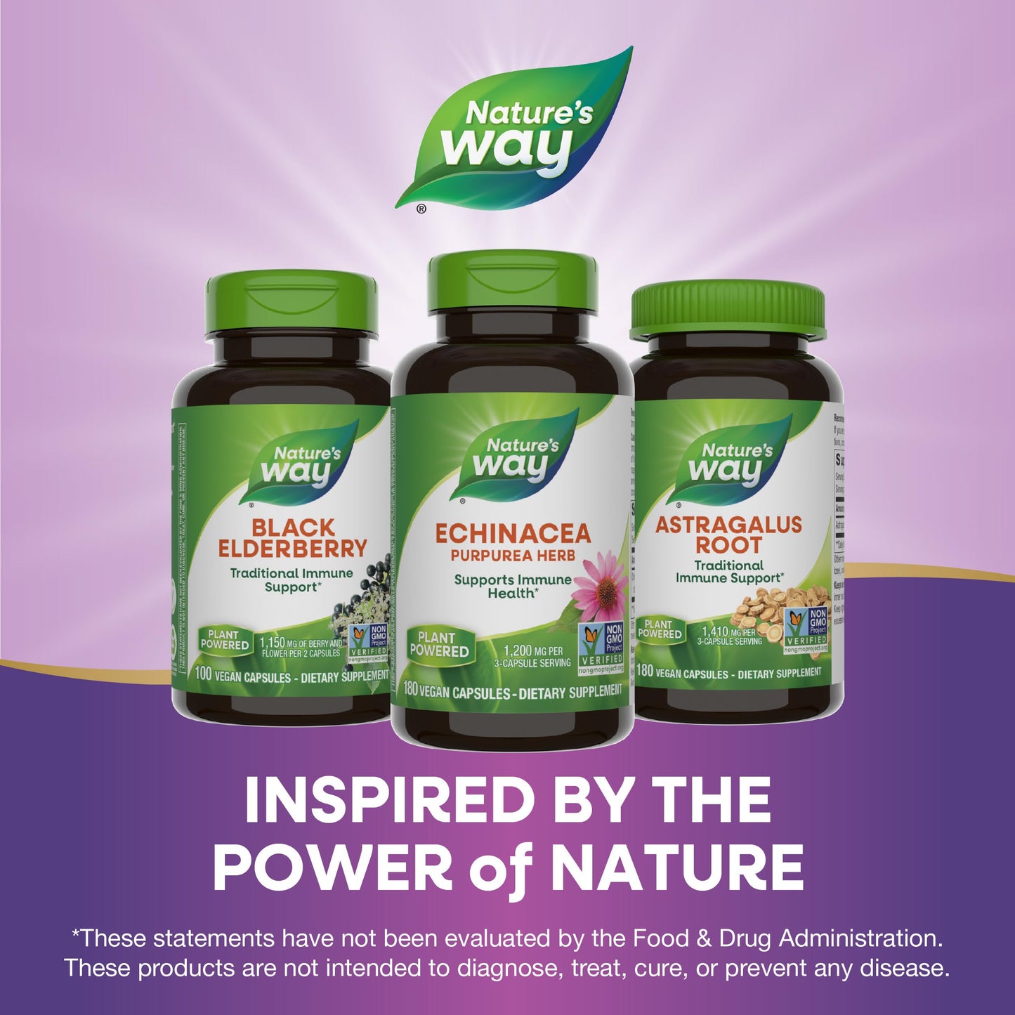 Nature's Way Echinacea Purpurea Herb, Immune Support*, 1,200 mg per 3- Capsule Serving, Non-GMO Project Verified, Vegan, 180 Capsules