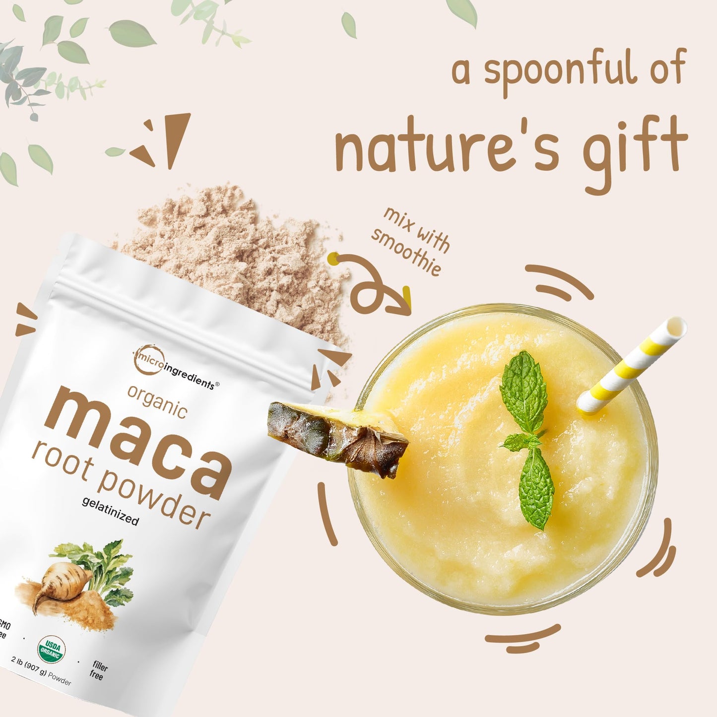 Pre-Order | Arrives in 5–10 Days – Organic Maca Root Powder, 2 Pound, Gelatinized for Better Absorption, Rich in Antioxidants, Help Energy, Stamina, Endurance, Strength and Immune System, No GMOs, Vegan Friendly and Peru Origin