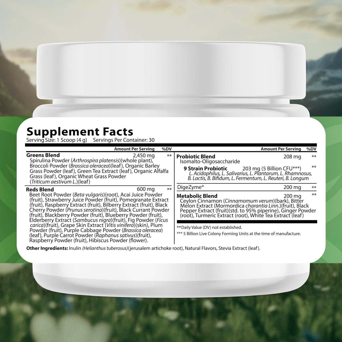 NATURES BLAST Greens Superfood Powder - 46 Superfoods, Probiotics & Enzymes for Gut Health, Metabolism & Energy - Vegan Green Powder Blend, 1 Bottle - 30 Servings