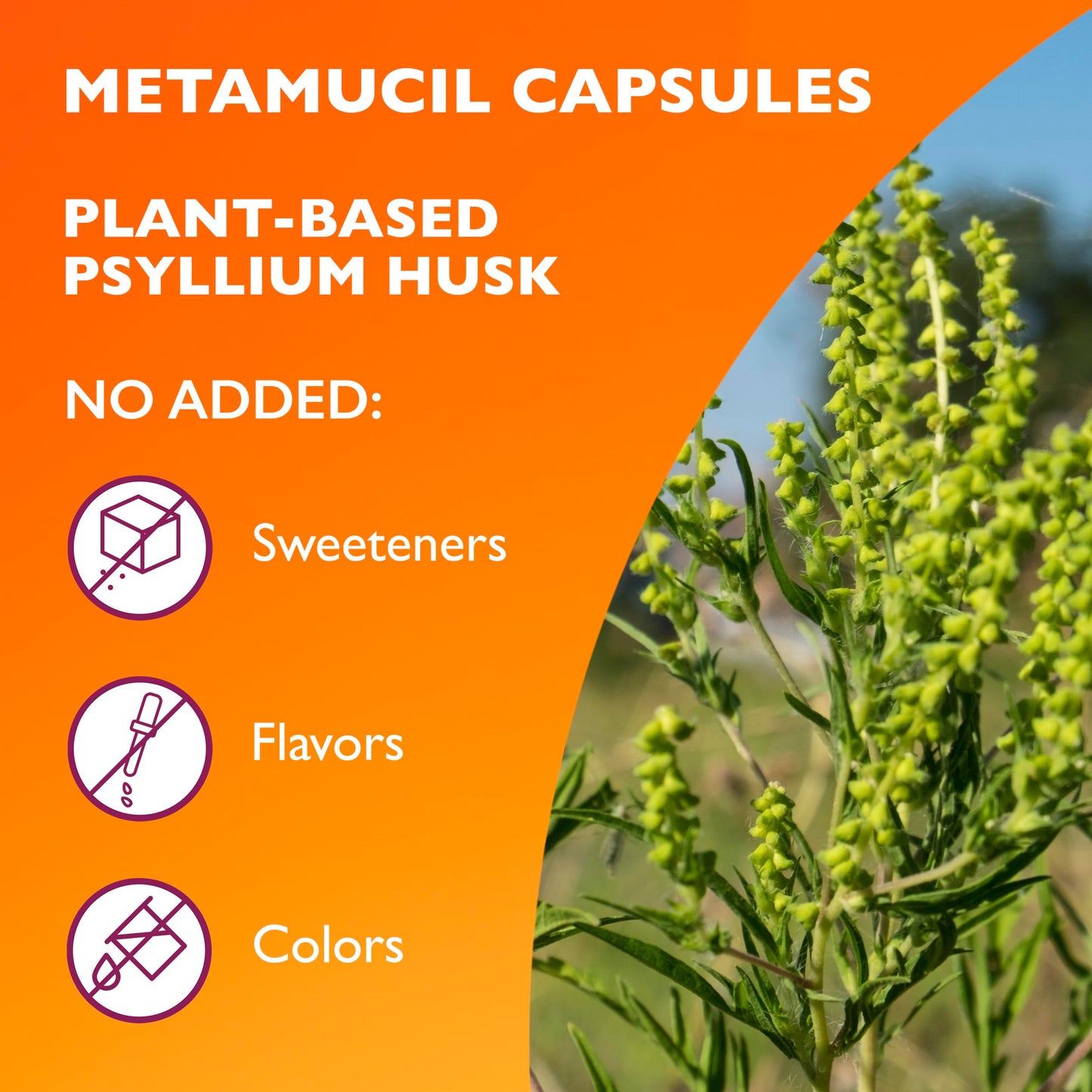 Metamucil, Daily Psyllium Husk Powder Supplement, 3-in-1 Fiber for Digestive Health, Plant Based Fiber, 300ct Capsules