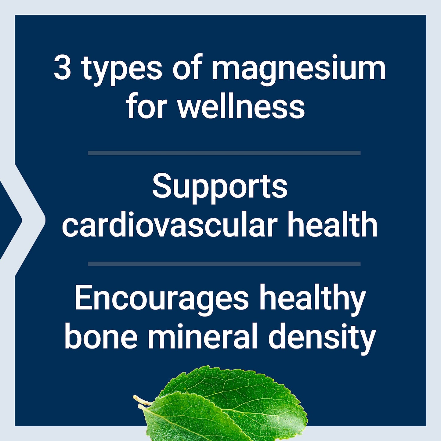Life Extension Magnesium Caps, 500 mg, Magnesium Oxide, Citrate, and Succinate, Heart Health, Healthy Bones, Metabolism Support, 100 Vegetarian Capsules