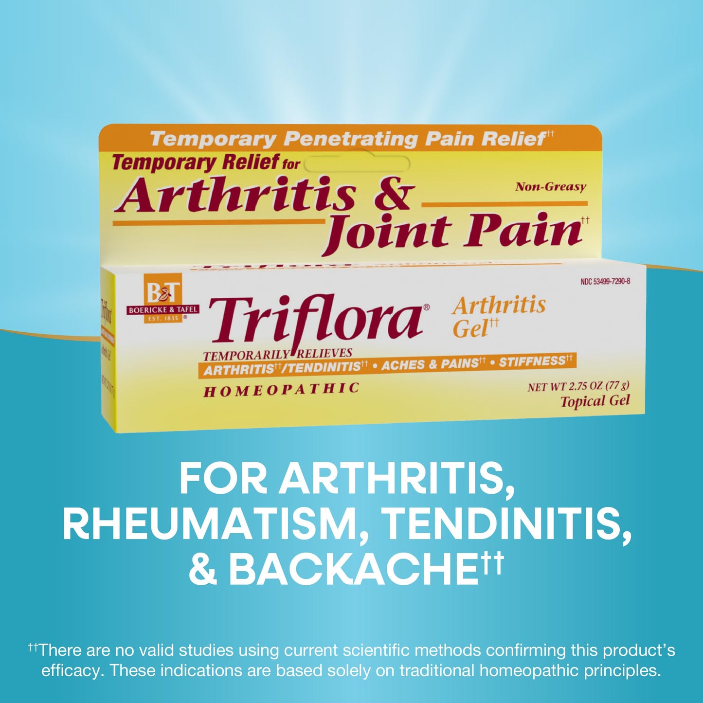 Nature's Way Boericke and Tafel Triflora Arthritis Topical Gel, Relief for Arthritis, Tendinitis, Joint Pain, and Stiffness*, 2.75 Ounce