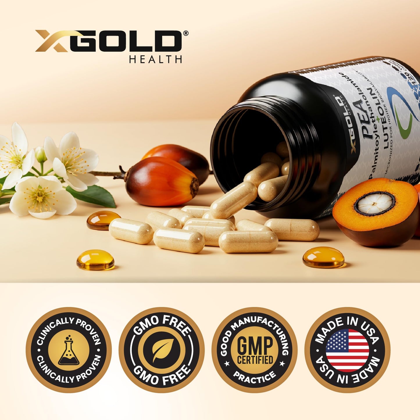 Palmitoylethanolamide 630 mg + Luteolin Standardized 98%- Micronized Pea 99% Highly Purified and Bioavailable - Made in USA - Supplement for Men and Women - 120 Veggie Capsules