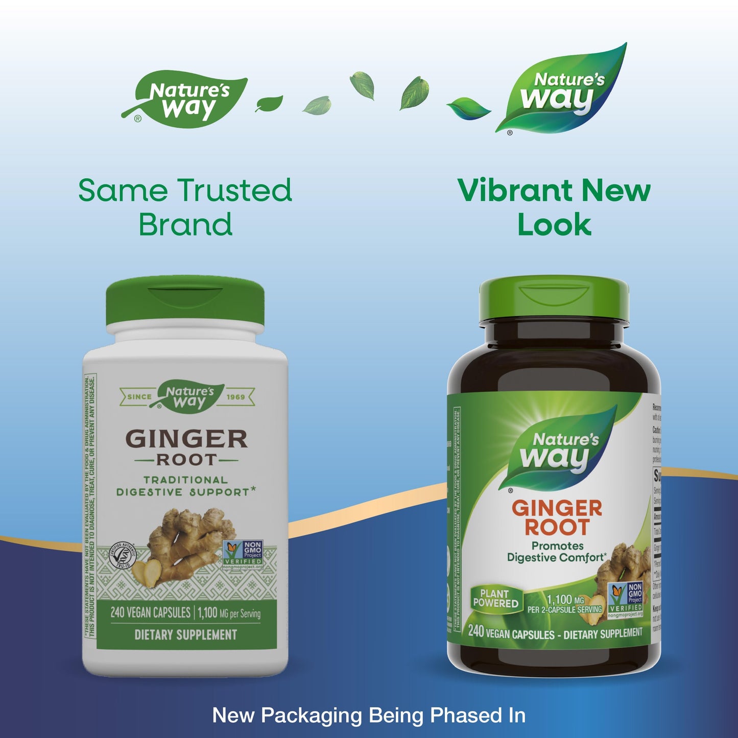 Nature's Way Ginger Root, Promotes Digestive Comfort*, Reduces Motion-Related Nausea*, 1,100 mg Per 2-capsule Serving, Non-GMO Project Verified, Vegan, 240 Capsules (Packaging May Vary)
