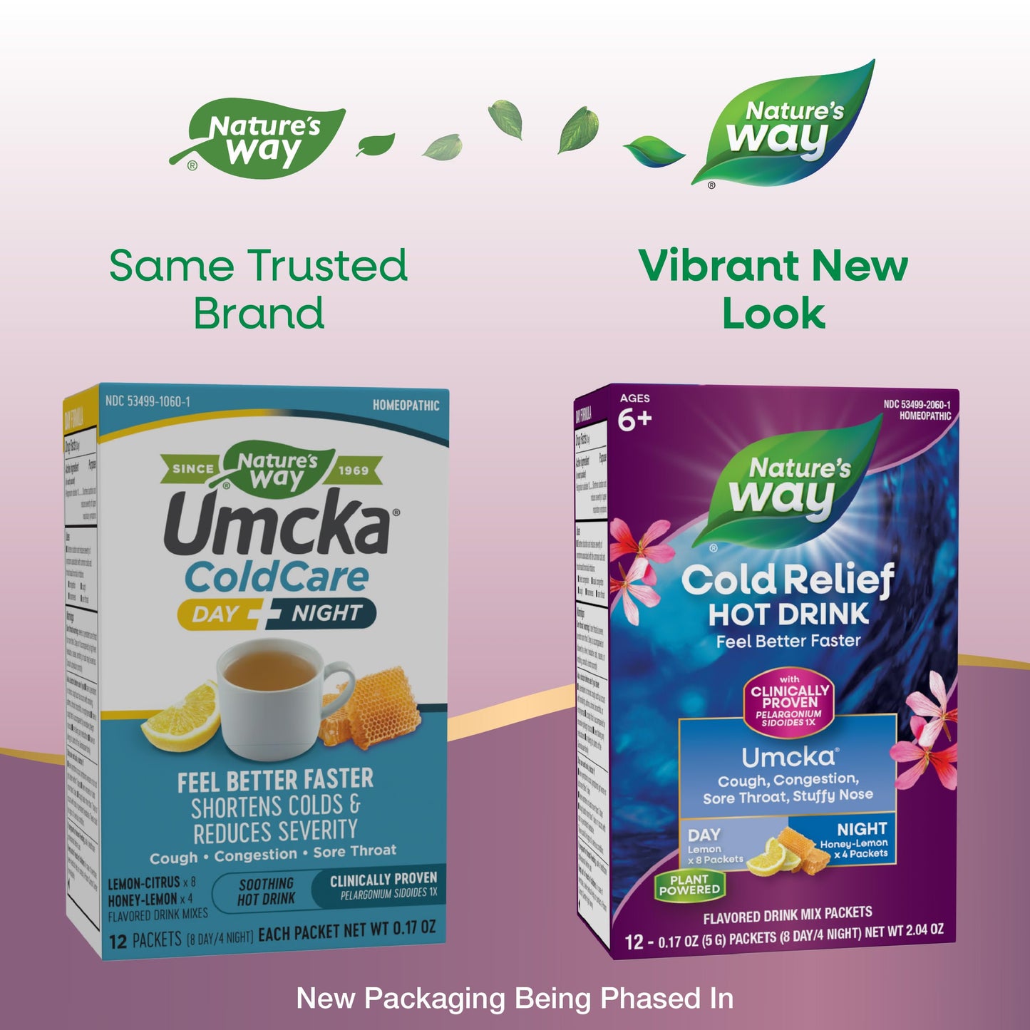 Nature's Way Cold Relief Hot Drink, Umcka, Homeopathic, Clinically Proven Pelargonium Sidoides 1X, for Cough, Congestion, Sore Throat, Stuffy Nose, Day & Night Formula, 12 Packets (Packaging May Vary)