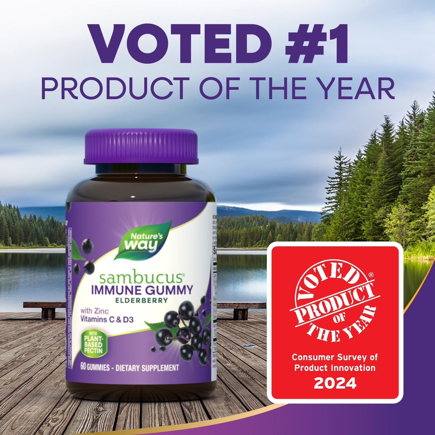 Nature’s Way Sambucus Elderberry Immune Gummies, Daily Immune Support for Kids and Adults*, with Vitamin C, Vitamin D3, Zinc, Gluten Free, Vegetarian, 60 Gummies (Packaging May Vary)