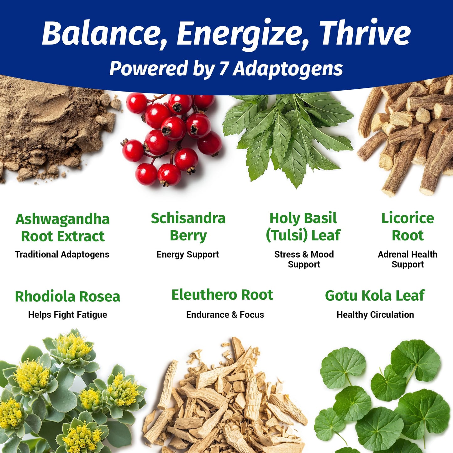 1 Body Ashwagandha Complex with Shoden® – Clinically Supported Stress Relief, Sleep, and Energy Support – Vegan, Non-GMO Supplements – 60 Capsules