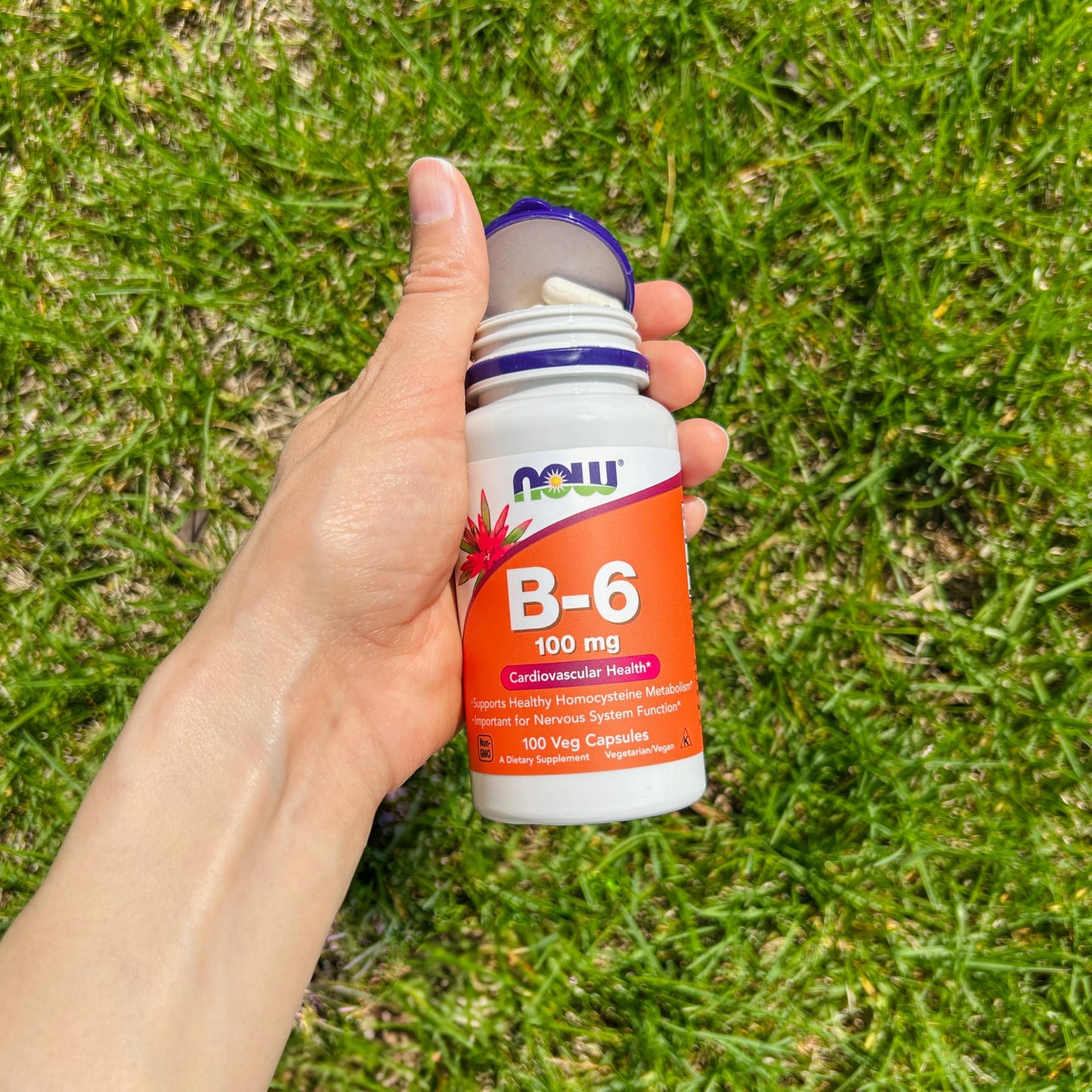 NOW Foods Supplements, Vitamin B-6 (Pyridoxine HCl) 100 mg, Cardiovascular Health*, 100 Veg Capsules