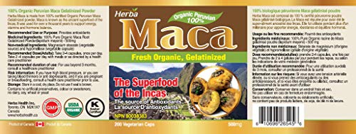 Herba Organic Maca for Men & Women - 200 Capsules | 100% Organic Gelatinized Maca Root | 500mg Peruvian Yellow Maca per Vegetable Capsule | Product of Canada