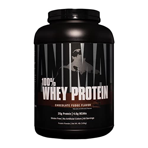 Animal 100% Whey Protein Powder – Whey Blend for Pre- or Post-Workout, Recovery or an Anytime Protein Boost– Low Sugar – Chocolate, 4 lb