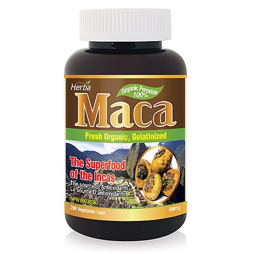 Herba Organic Maca for Men & Women - 200 Capsules | 100% Organic Gelatinized Maca Root | 500mg Peruvian Yellow Maca per Vegetable Capsule | Product of Canada