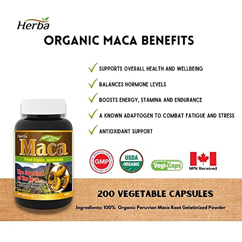 Herba Organic Maca for Men & Women - 200 Capsules | 100% Organic Gelatinized Maca Root | 500mg Peruvian Yellow Maca per Vegetable Capsule | Product of Canada