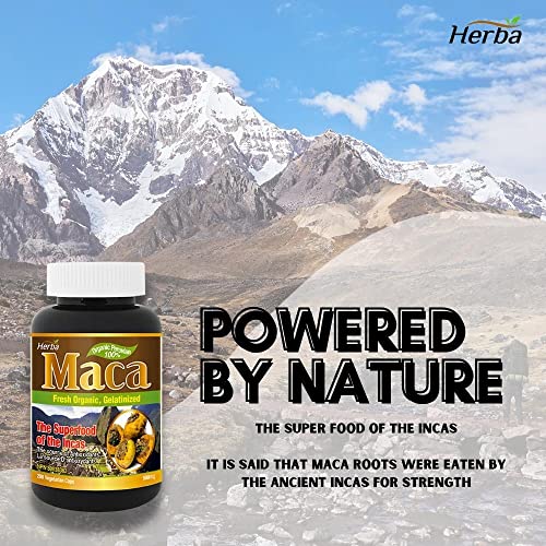 Herba Organic Maca for Men & Women - 200 Capsules | 100% Organic Gelatinized Maca Root | 500mg Peruvian Yellow Maca per Vegetable Capsule | Product of Canada