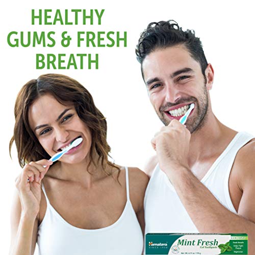 Himalaya Mint Fresh Gel Toothpaste, Fluoride Free to Reduce Plaque & Brighten Teeth, Vegetarian, 175 g (6.17 oz), 2 Pack