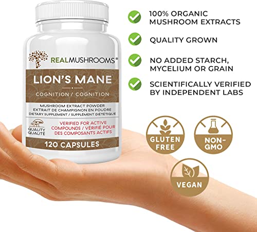 Lions Mane Brain and Focus Supplements (120ct) Mushroom Powder Extract Capsules - Non-GMO and Gluten-Free Supplement for Better Cognitive Health