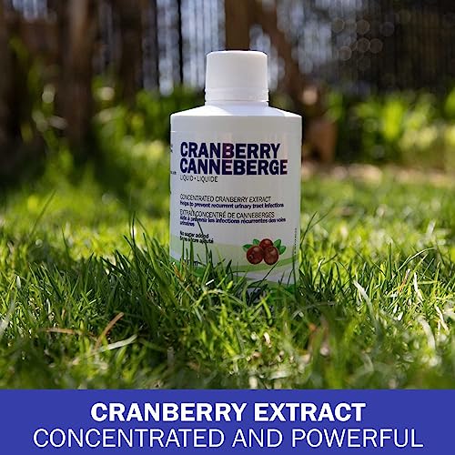 Liquid Cranberry Extract 500ml – Concentrated Formula - for Urinary Tract Infections - Antioxidant - Sugar Free – GMO-Free - Gluten Free - Vegan - Made in Canada