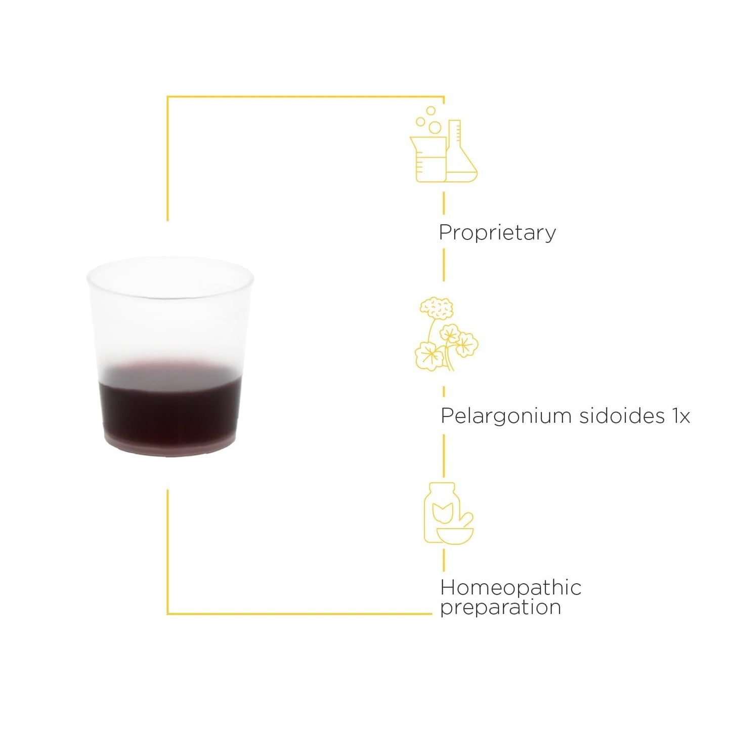 Integrative Therapeutics - V Clear EPs 7630 (Drops) - Original Formula - Upper Respiratory Support - 1 fl oz