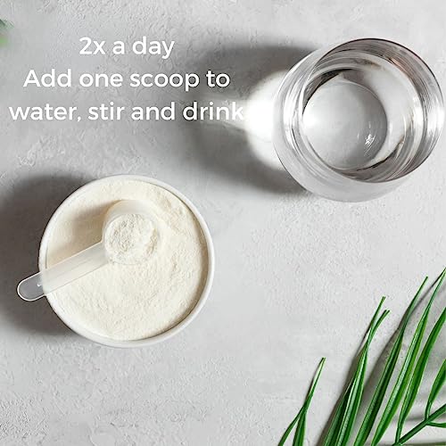 Ovofolic PCOS Supplement for Women - Boost Fertility, Hormonal Balance, and PCOS Support - Myo-Inositol, D-Chiro Inositol, Active Folate - High Potency PCOS Supplements (180 servings, 387g Jar)