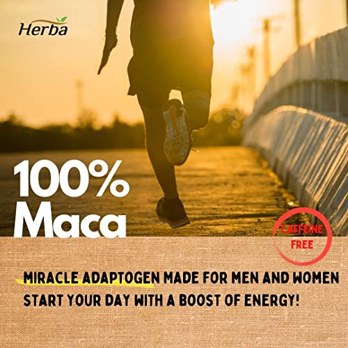 Herba Organic Maca for Men & Women - 200 Capsules | 100% Organic Gelatinized Maca Root | 500mg Peruvian Yellow Maca per Vegetable Capsule | Product of Canada