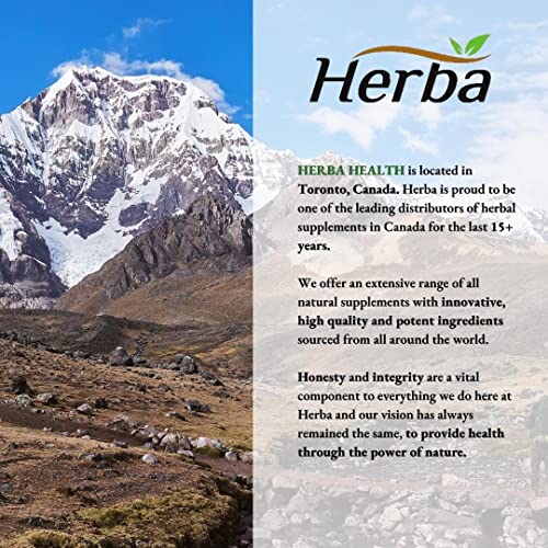 Herba Organic Maca for Men & Women - 200 Capsules | 100% Organic Gelatinized Maca Root | 500mg Peruvian Yellow Maca per Vegetable Capsule | Product of Canada