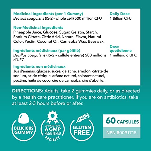 Probiotic Gummies for Adults | 1 Billion CFU Per Gummy | Shelf-Stable Bacillus Coagulans | Immunity, Gut & Gastrointestinal Health Support for Women & Men | Fruit Flavor | 60 Gummies | Gluten-Free