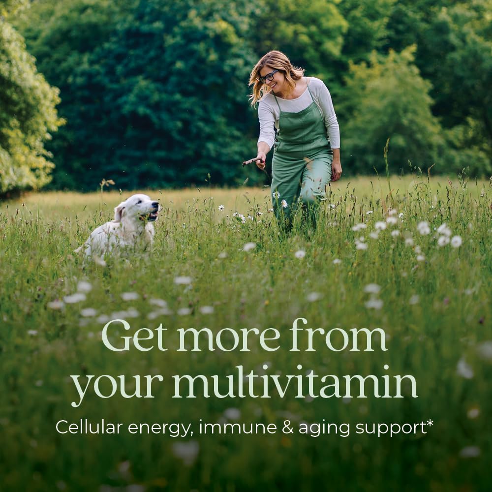 New Chapter Women's Multivitamin 40 plus for Energy, Healthy Aging + Immune Support with 20+ Nutrients -- Every Woman's One Daily 40+, Gentle on the Stomach, 72 Count