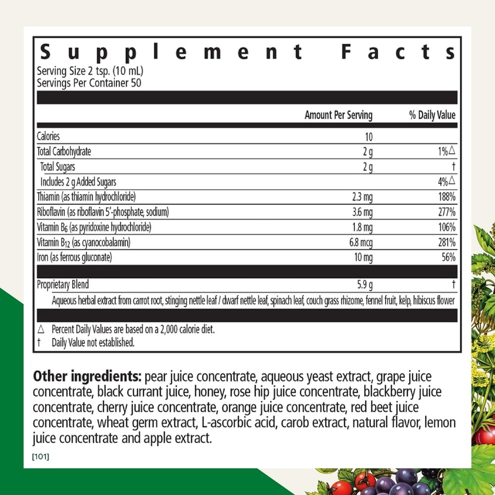 Pre-Order | Arrives in 5–10 Days – Floradix by Salus Iron & Herbs - Liquid Herbal Supplement for Energy Support* - Iron Supplement with Vitamin C & B Complex Vitamins - for Men & Women - 16.9 Fl Oz