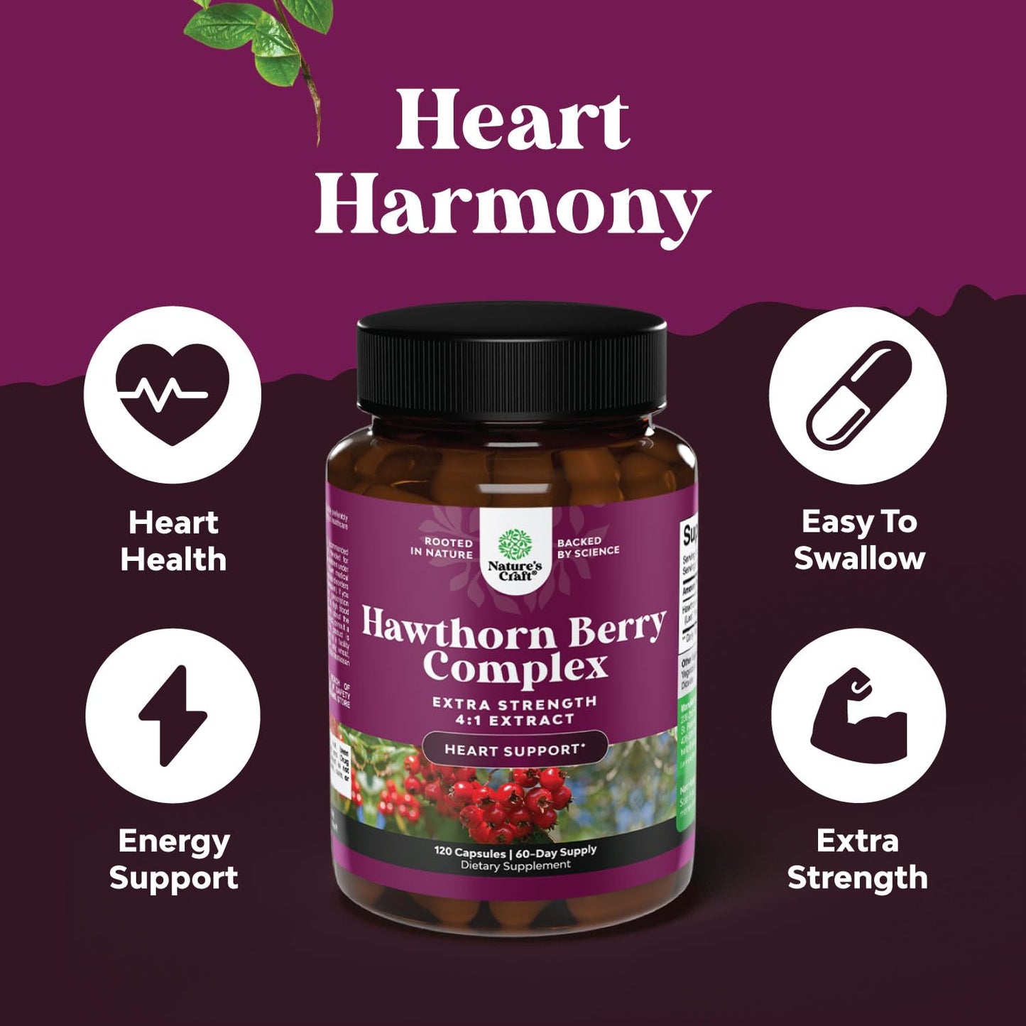 High Strength Hawthorn Berry Capsules - Pure Antioxidant Hawthorn Berry Supplement with Leaf & Flower Extract 4:1 for Healthy Heart & Digestion - Energy Support for Men & Women - 120 Count Pack