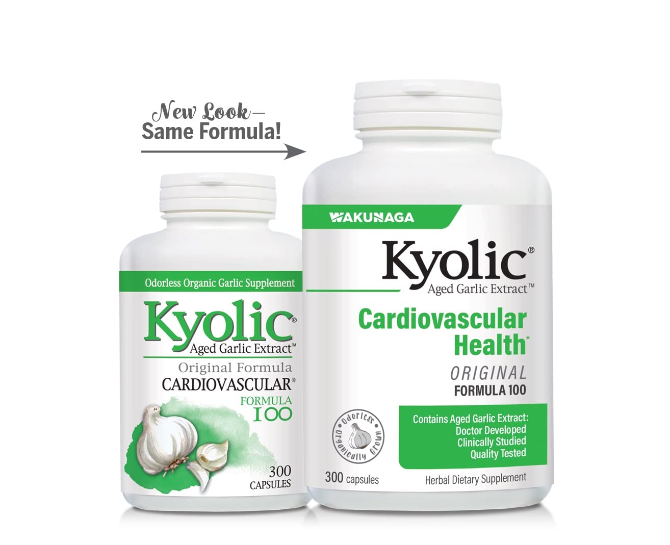 Kyolic Aged Garlic Extract Formula 100, 300 Capsules