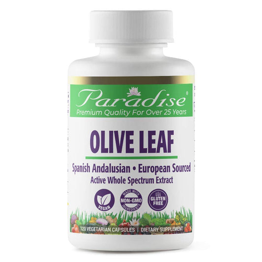 Paradise Herbs Olive Leaf Extract from Spanish Andalusian Olive Trees, Super Potent, Ultra Pure, Non-GMO, Vegan, Gluten Free, 120 Vegetarian Capsules