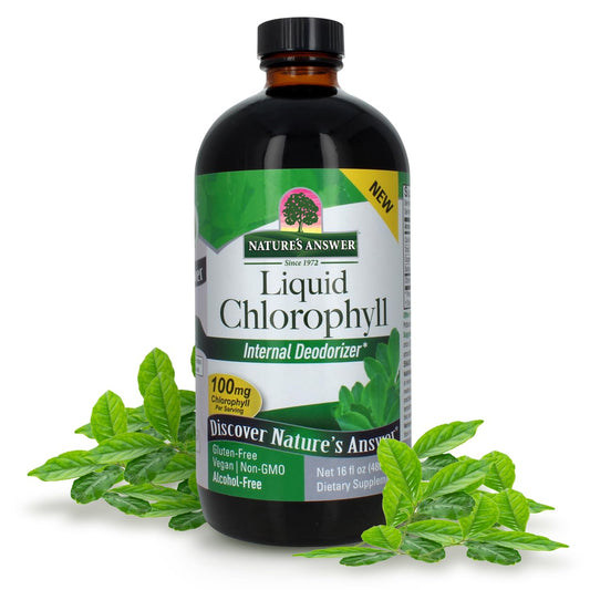 Nature's Answer – Liquid Chlorophyll Spearmint 16oz, Internal Deodorant*, Skin and Hair Support* Supports Healthy Immune Function, Detoxification 16oz, 32 Servings | Gluten Free | Non-GMO