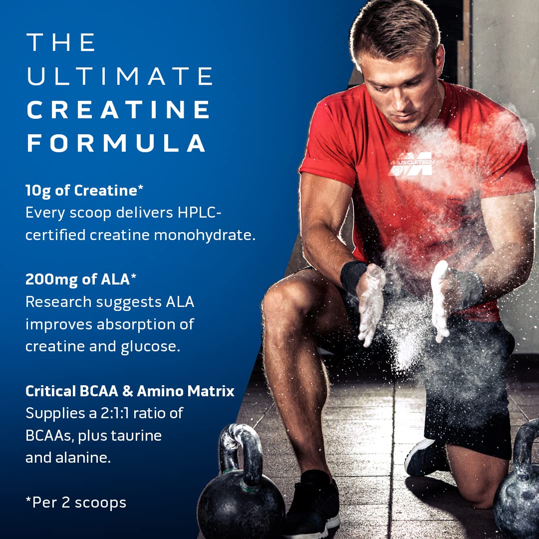 MuscleTech Creatine Monohydrate Powder Cell-Tech Creatine Powder | Post Workout Recovery Drink & BCAA Amino Acids + Electrolyte Powder, Amino Build, 7g of BCAAs + Electrolytes