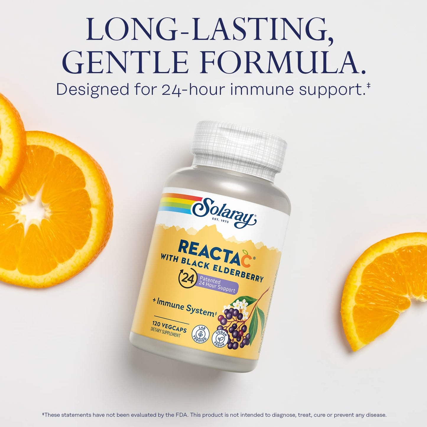 Pre-Order | Arrives in 5–10 Days – SOLARAY Reacta-C with 500mg Vitamin C, 200mg Sambucus Black Elderberry Extract, Immune System Defense Vitamins, Patented 24 Hour Immunity Booster Support Supplement, Vegan, 120 Capsules, 120 Servings