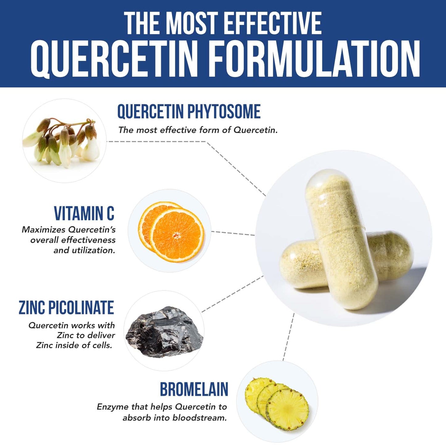 Quercetin Complete® Quercetin Phytosome with 50X Higher Absorption, Clinically Proven & Patented Quercefit – Most Effective Form of Quercetin – Enhanced with Bromelain, Zinc & Vitamin C (60 Capsules)