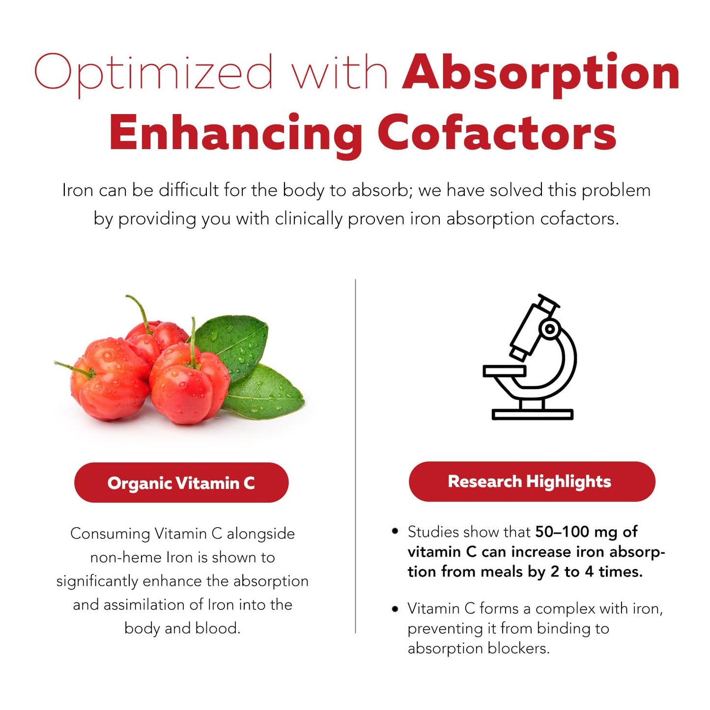 Liquid Iron Supplement | Organic Certified, Berry Flavor - Whole Food Vitamin C Absorption Boost & Blood Building B Vitamins - Methyl B12, L-Methylfolate & B6 - Supports Healthy Iron Levels - 7.6 oz