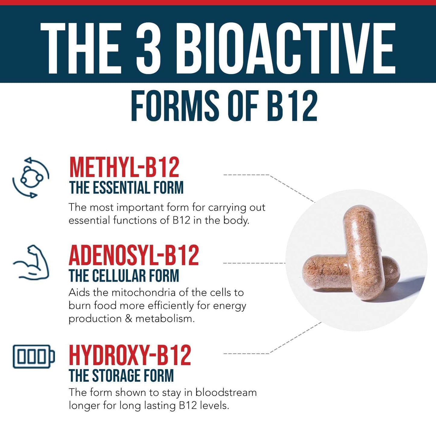 BioActive Vitamin B12 1000 mcg | All 3 BioActive Forms B12 Plus Methylfolate Cofactor - Methyl B12, Adenosyl B12 & Hydroxy B12 | Supports Energy, B12 Levels & Mood | Vegan, Non-GMO (60 Servings)