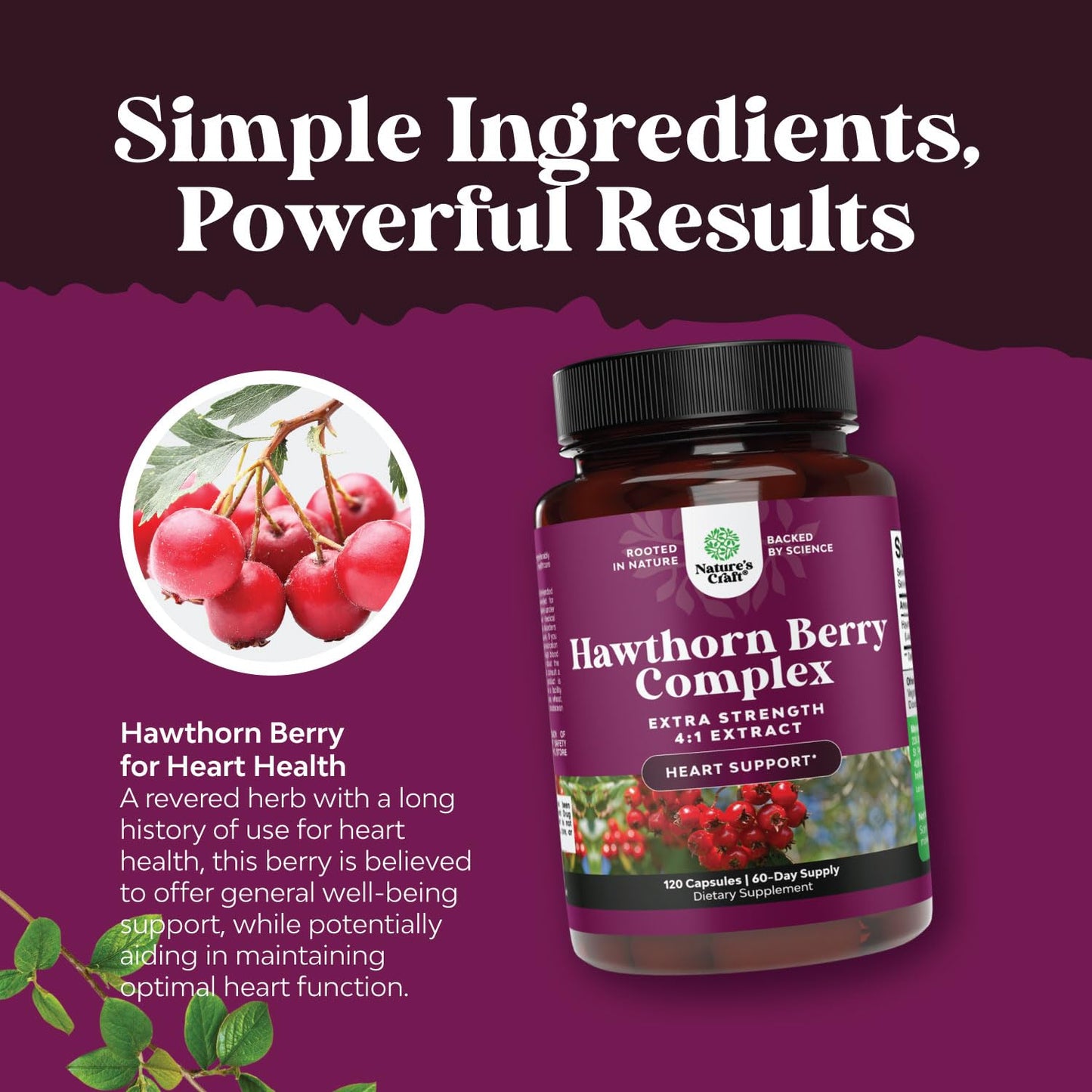 High Strength Hawthorn Berry Capsules - Pure Antioxidant Hawthorn Berry Supplement with Leaf & Flower Extract 4:1 for Healthy Heart & Digestion - Energy Support for Men & Women - 120 Count Pack