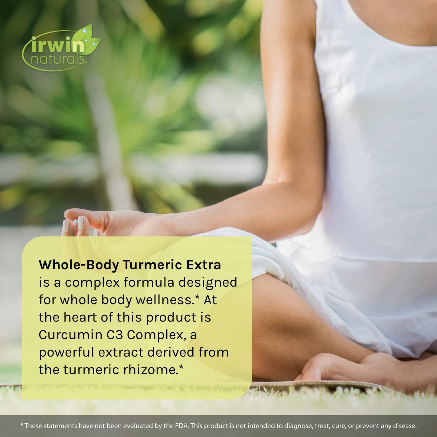 Irwin Naturals Whole-Body Turmeric+ - 60 Liquid Softgels - BioPerine Complex Enhanced Absorption - 30 Total Servings