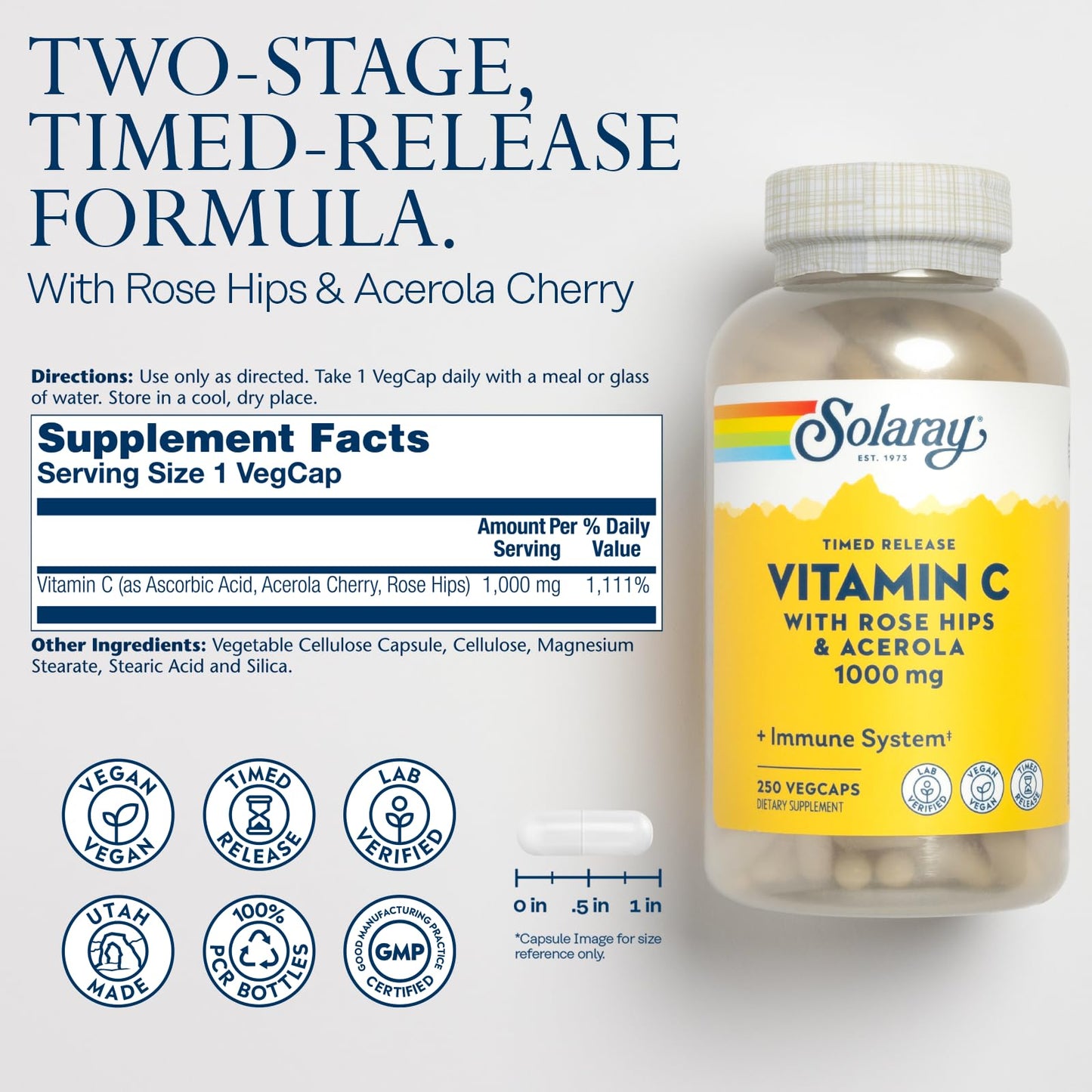 Pre-Order | Arrives in 5–10 Days – SOLARAY Vitamin C with Rose HIPS & Acerola | Two-Stage Timed-Release Formula | 1000mg | 24-Hour Immune Support & Antioxidant Supplement | 250 Ct.