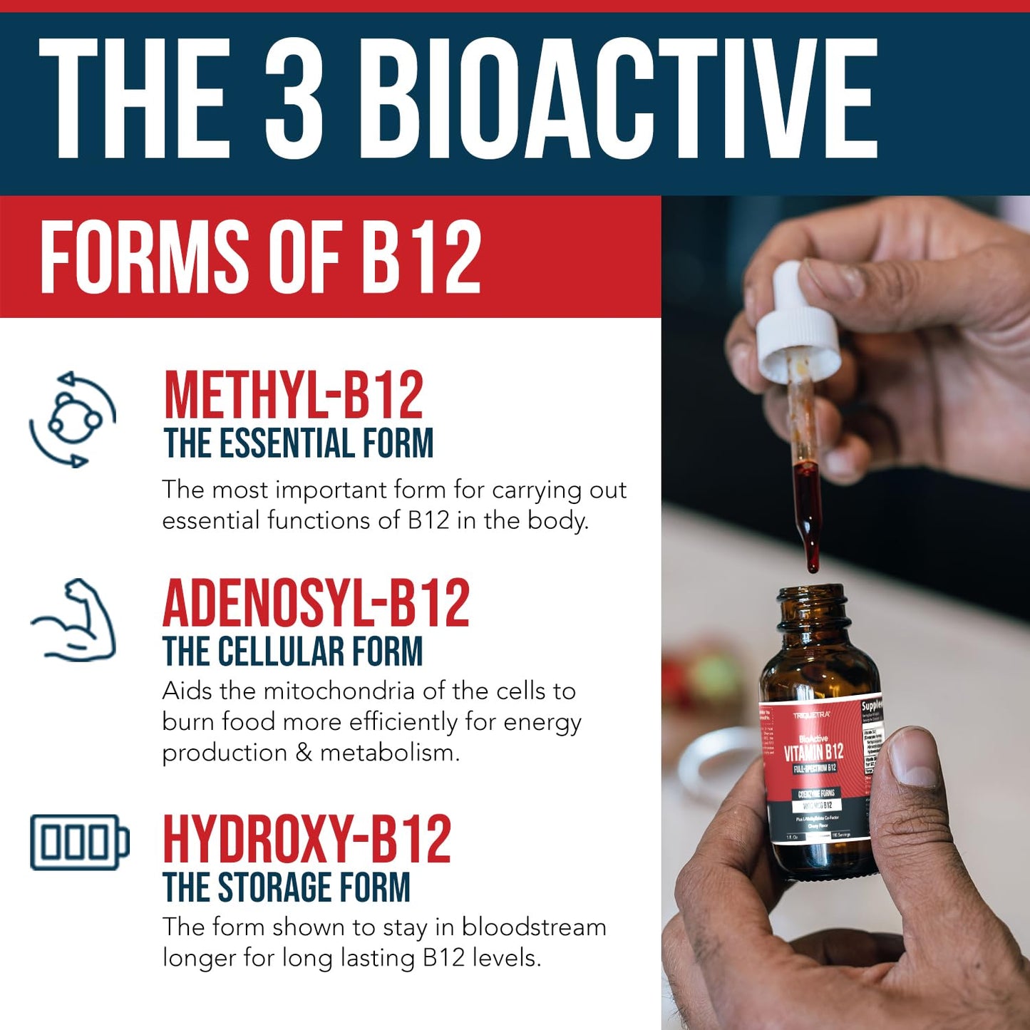 BioActive Vitamin B12 1000 mcg | Contains 3 BioActive Forms B12 Plus Methylfolate Cofactor - Methyl B12, Adenosyl B12 & Hydroxy B12 | Sublingual Form, Cherry Flavor, Organic, Vegan (180 Servings)
