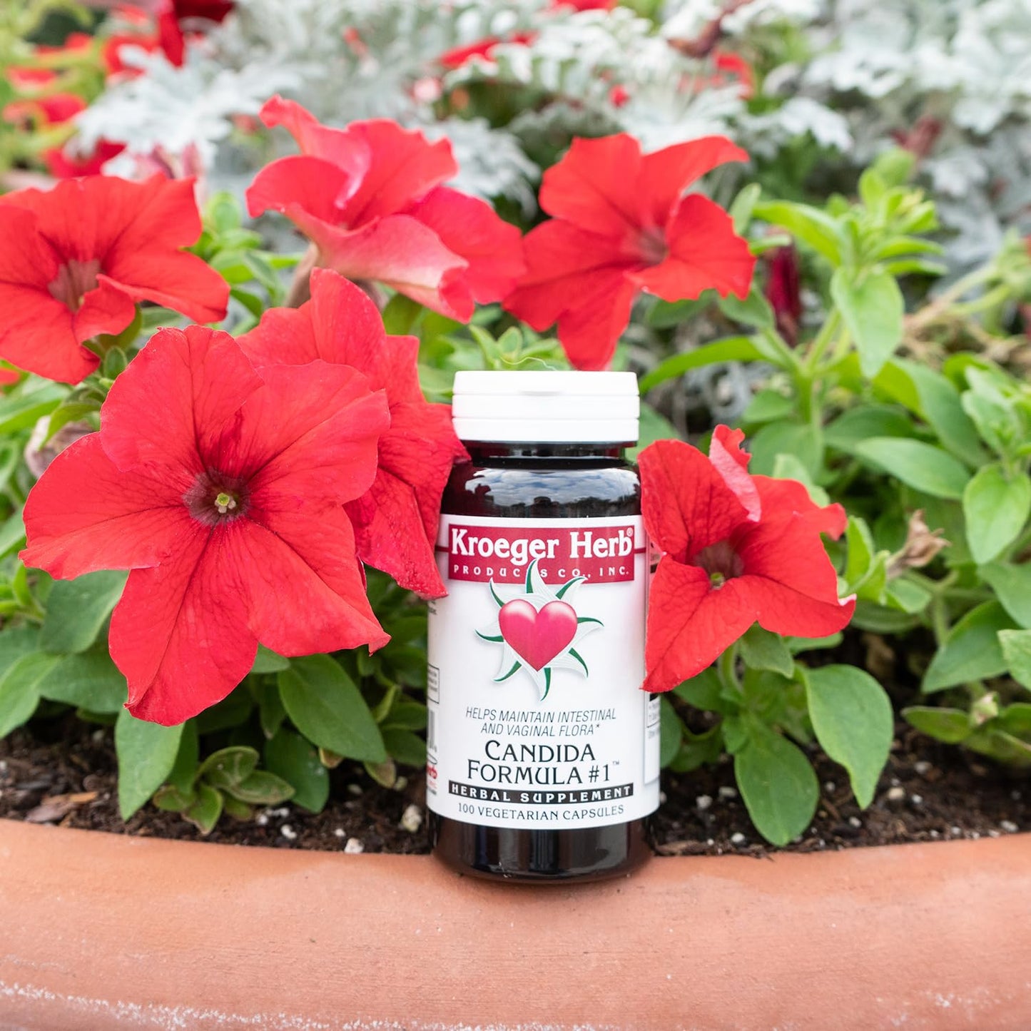 Kroeger Herb Products, Candida Formula #1, Detoxification for Natural Candida Cleanse, Helps Gut and Vaginal Health, Yeast Supplement, Candida Overgrowth, Non-GMO, Intestinal Supplement, Made in USA