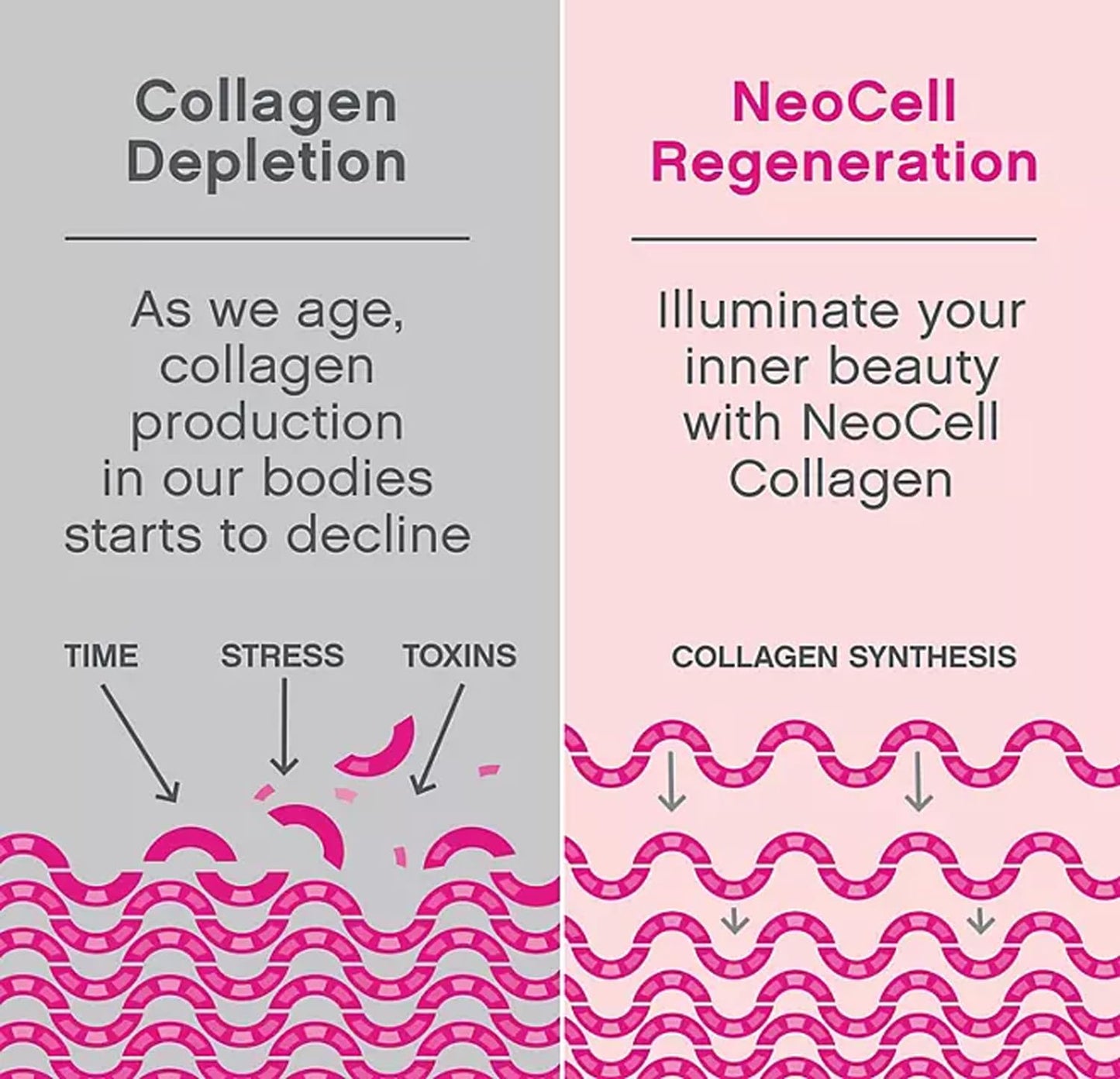 NCell Super Collagen Peptides, Unflavored Powder, Collagen Type 1 & 3 (21.2 oz.) (1.3Lbs)
