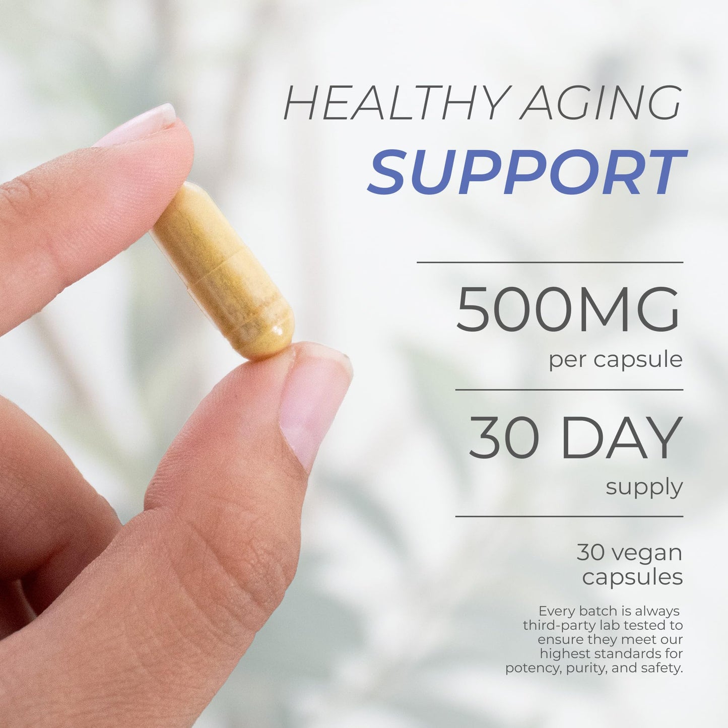 Neurogan Fisetin 500MG - 98% Pure | Healthy-Aging & Brain Health Fisetin Capsules | Brain Supplements for Memory and Focus, Senolytic Support | Natural Polyphenols, Non-GMO, 30 Servings
