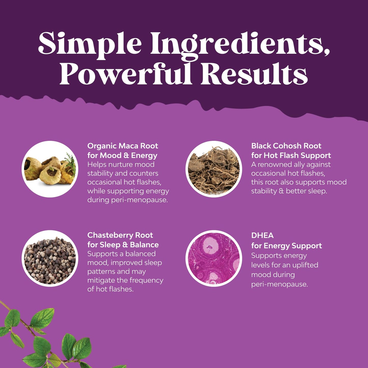 Pre-Order | Arrives in 5–10 Days – Complete Perimenopause Supplement for Women - Multibenefit Menopause Ease for Women with Maca Root Vitex Berry & Black Cohosh for Hot Flashes Night Sweats Hormone Balance and Mood Support (1 Month)