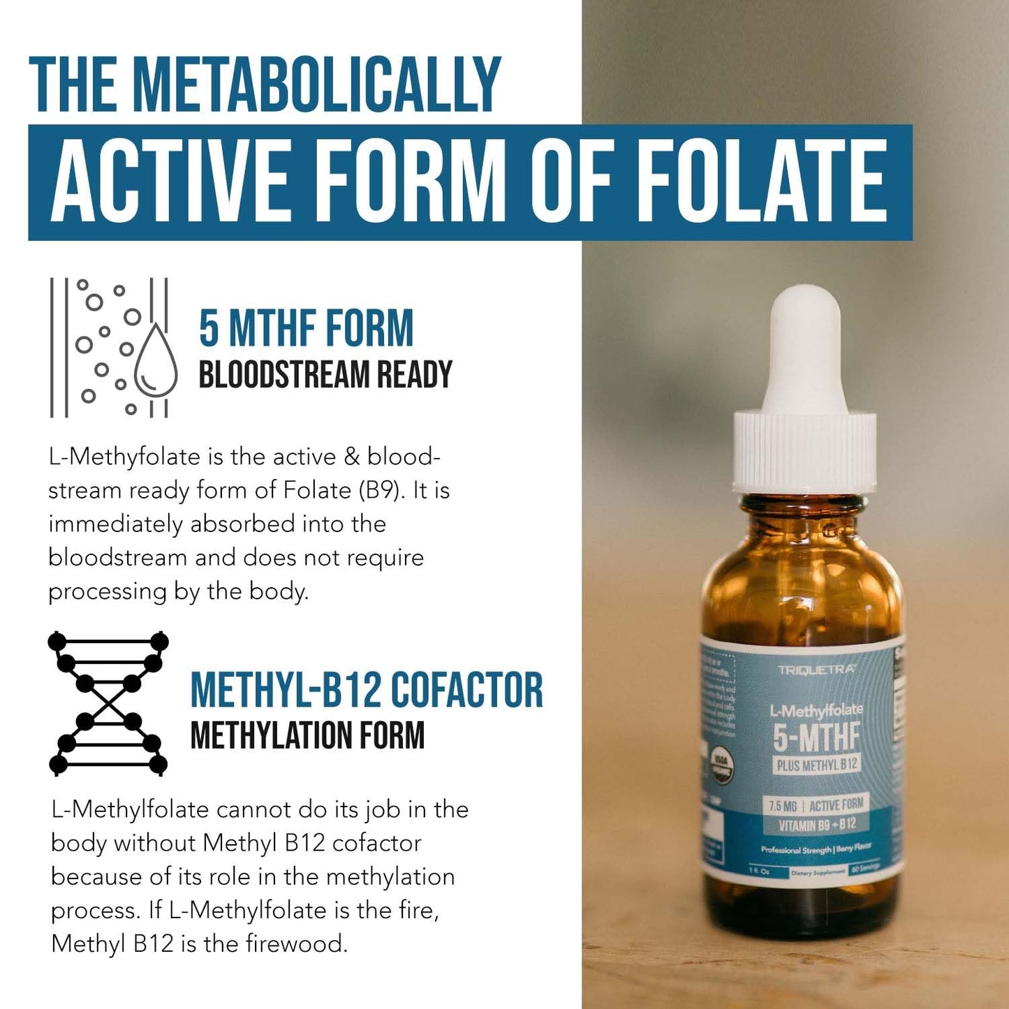 Organic L Methylfolate 7.5 mg Plus Methyl B12 Cofactor - Metabolically Active 5-MTHF Form, Superior Form of Folate - Organic Berry Flavor, Liquid Sublingual Form – Mood, Cognition, Methylation (1oz)