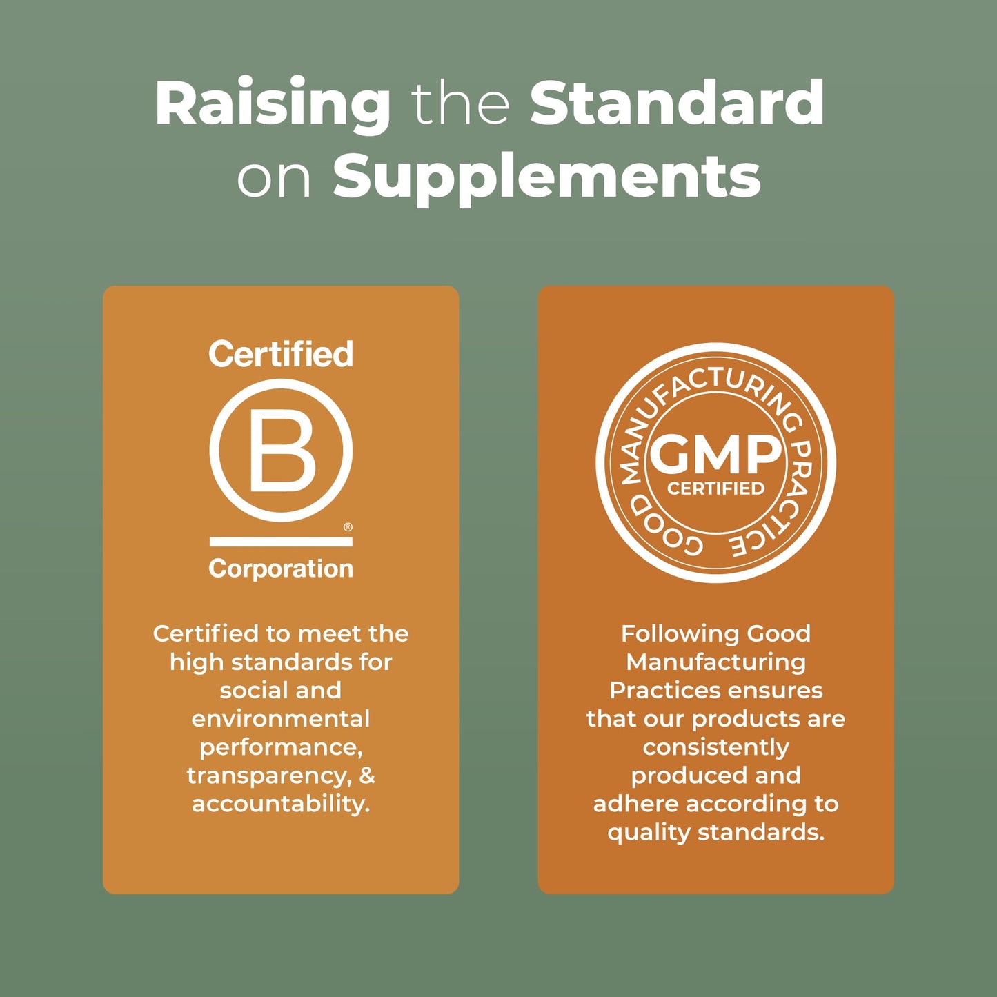 MaryRuth Organics Reishi Vegan Mushroom Supplement | Ultra Absorption Liposomal | Immune Support with 200mg Beta-Glucans, Vegan |Full Spectrum Reishi Mushrooms Fruiting Body | 7.6 oz,