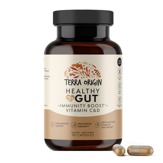 TERRA ORIGIN Healthy Gut Capsules with Immunity Boost | 90 Capsules | Non GMO, Gluten Free, Dairy Free | Digestive Support for Men and Women