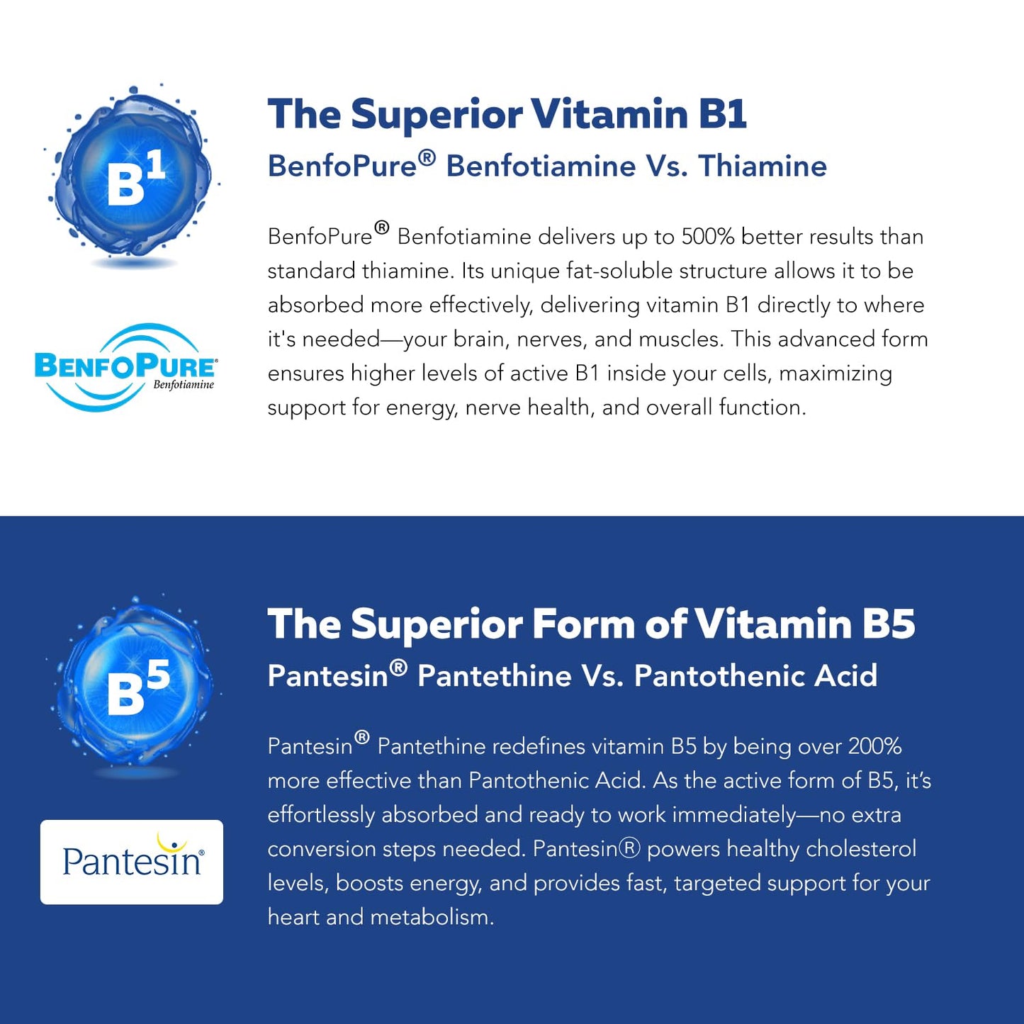 BioActive Vitamin B Complex - Blood Stream Ready, Methylated B Complex - Featuring Methylfolate, 3 BioActive Forms of B12, BenfoPure® B1 & Pantesin® B5 - 12 B Vitamins in Clinical Doses - 60 Servings