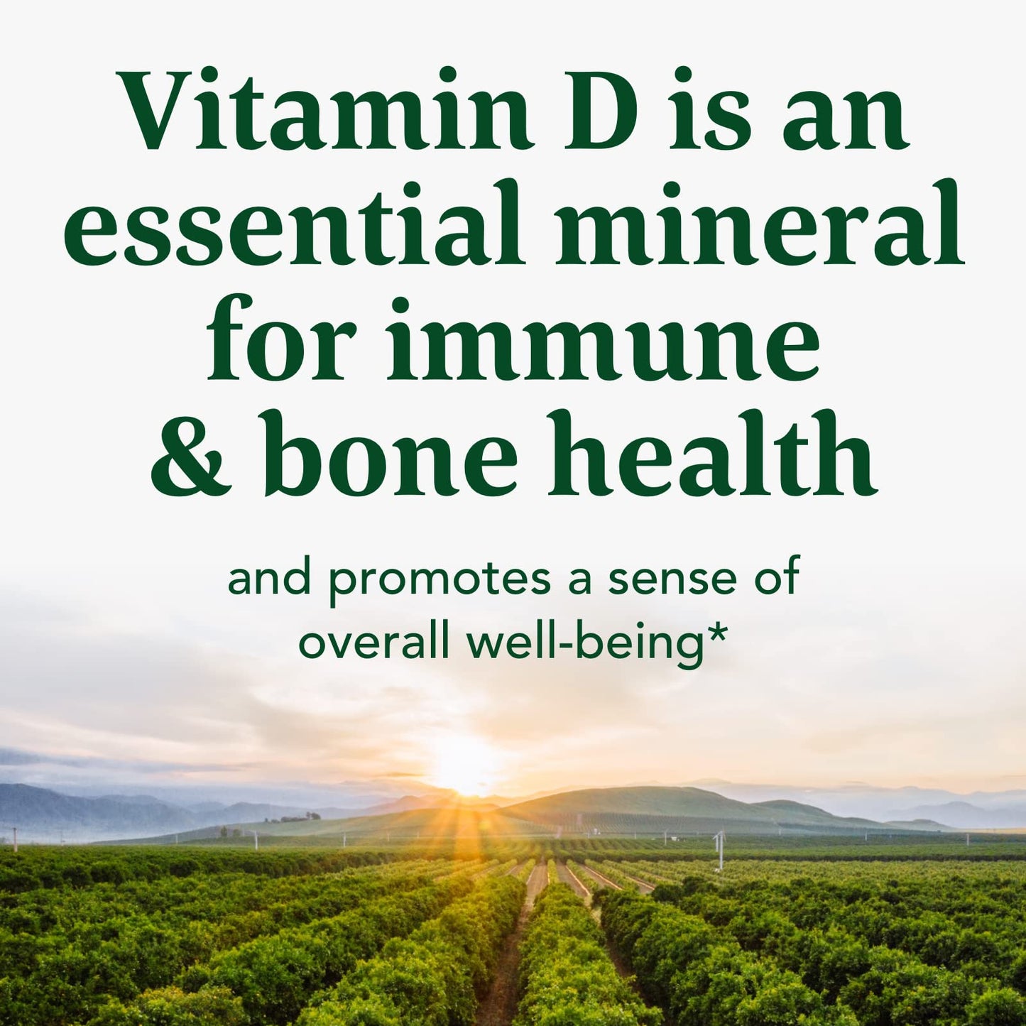 Pre-Order | Arrives in 5–10 Days – MegaFood Vitamin D3 2000 IU (50 mcg) - Vitamin D Supplements With Real Food, Immune Support, Supports Bones, Teeth & Muscles, Vegetarian, Certified Non-GMO, Kosher – 90 Tablets, 90 Servings